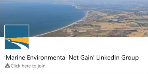 Click here to join the ABPmer Marine Environmental Net Gain LinkedIn Group