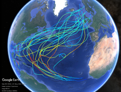 Extratropical Storms on the European Shelf