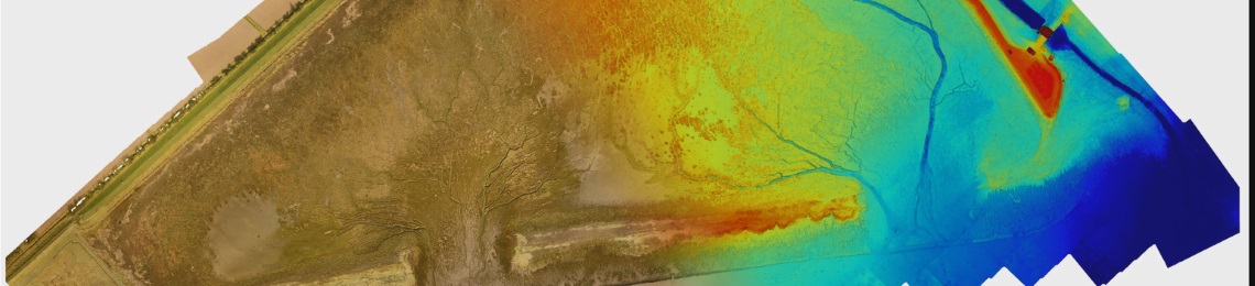 Welwick mapping