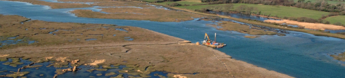 Allfleets marsh