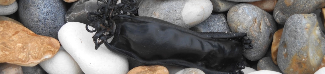 Eggcase