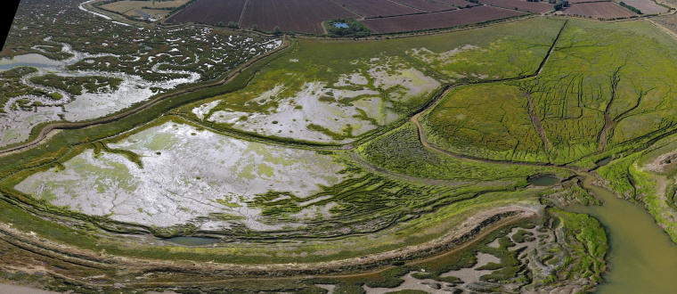 Tollesbury aerial