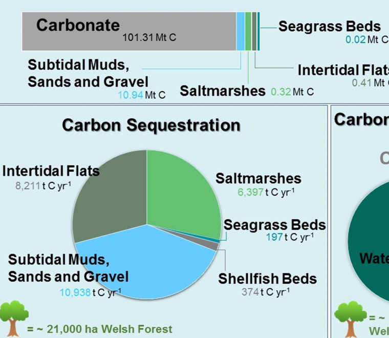 Welsh blue carbon pie chart
