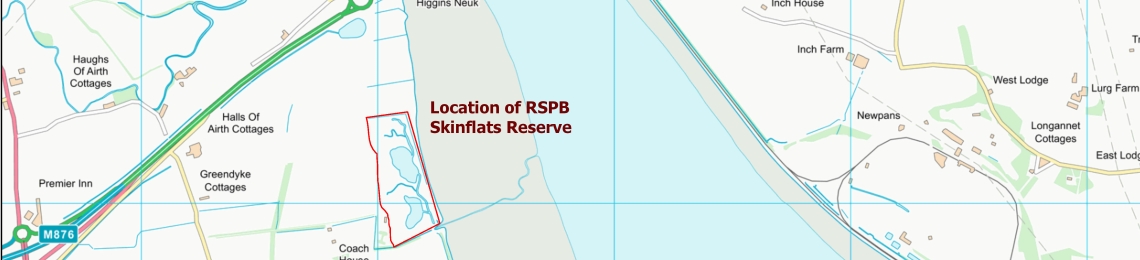 Skinflats OS