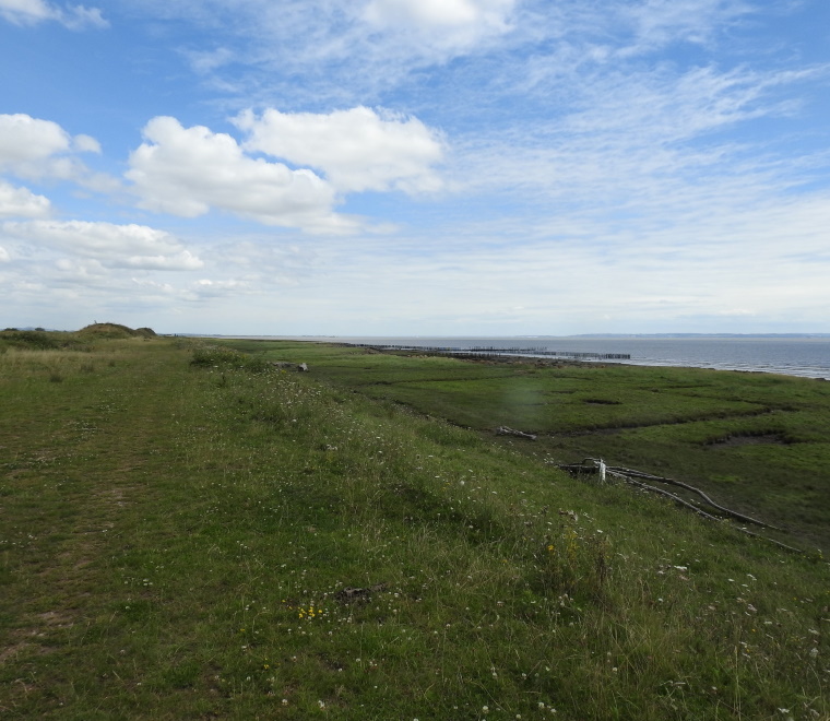 View towards polders from West Outfall
