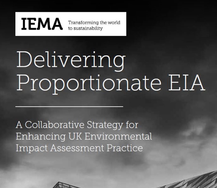 Delivering Proportionate EIA report snippet 