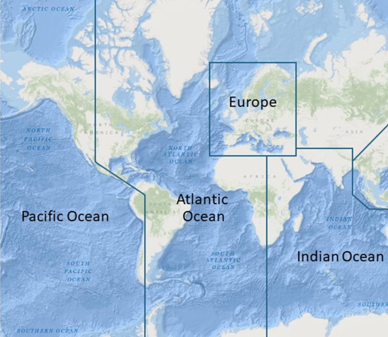 World map 