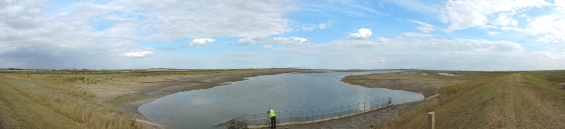 Wallasea
