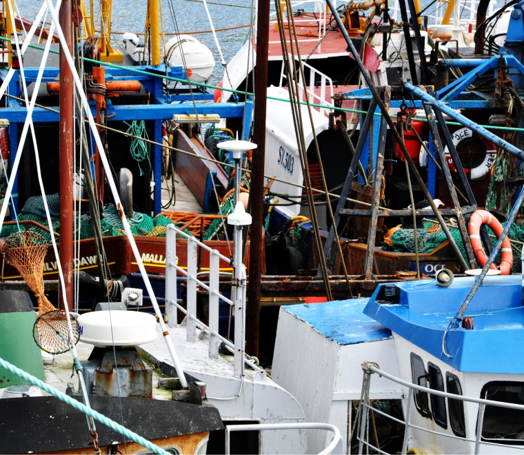Fishing vessels 