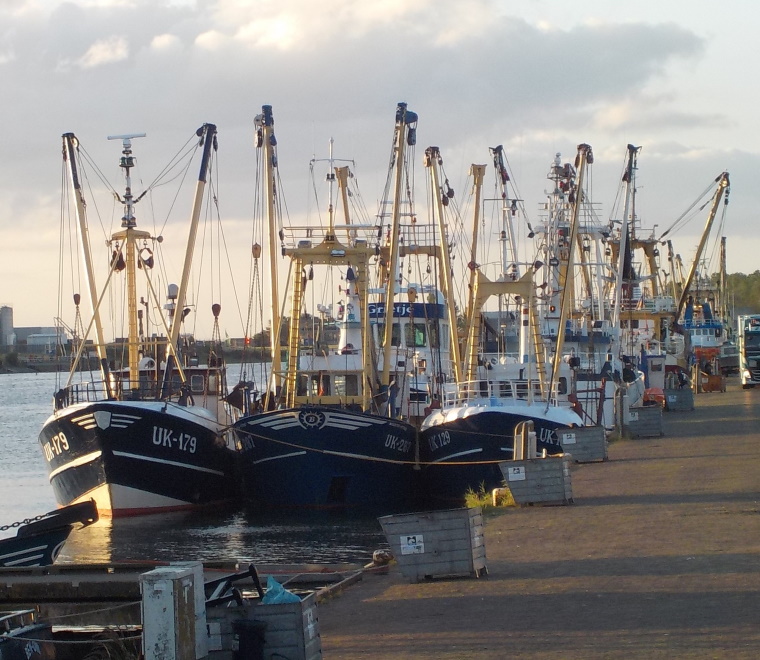 Dutch beam trawls 