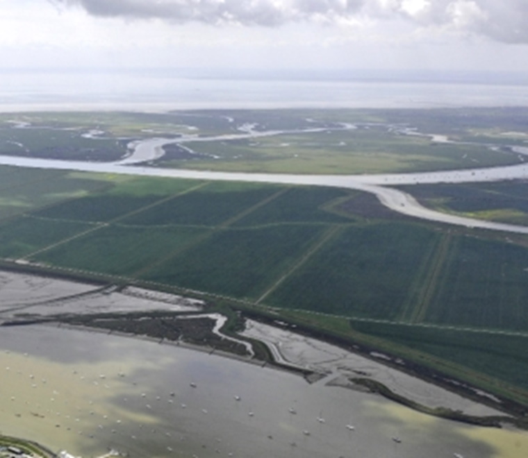 A photo of managed realignment 