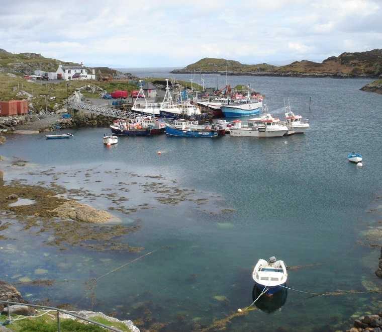 Harbour 