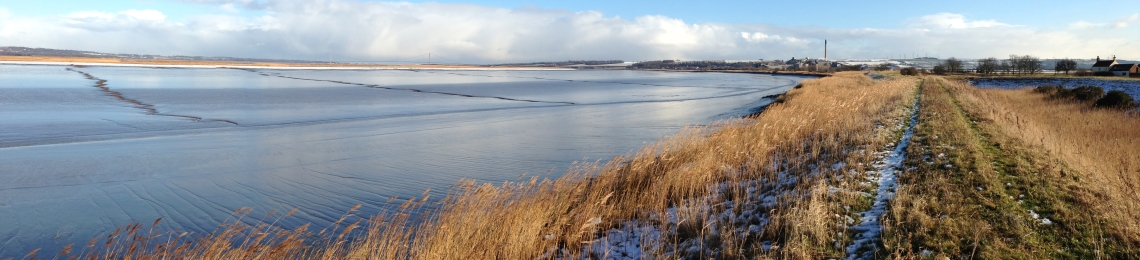 Reads island