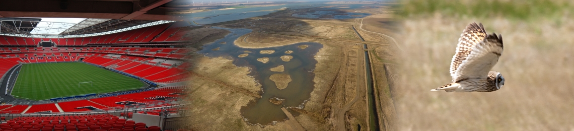 Wallasea collage
