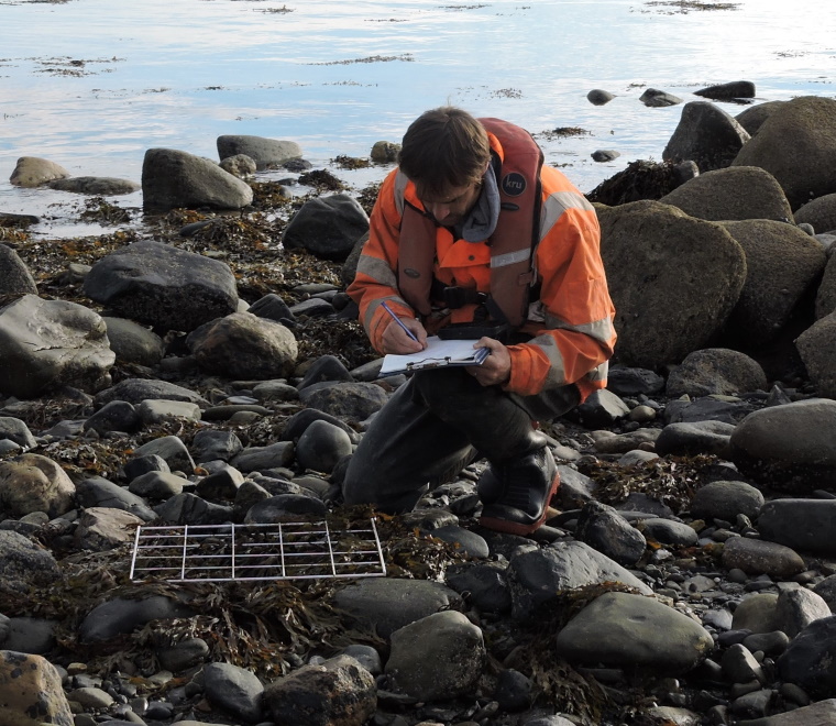 ABPmer Wales survey 