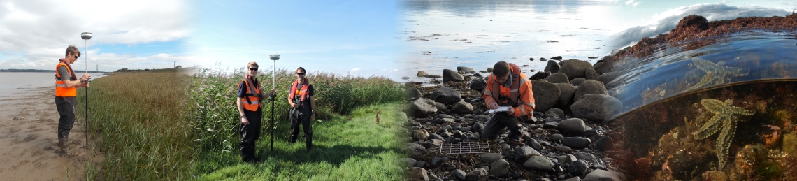 ABPmer Wales survey