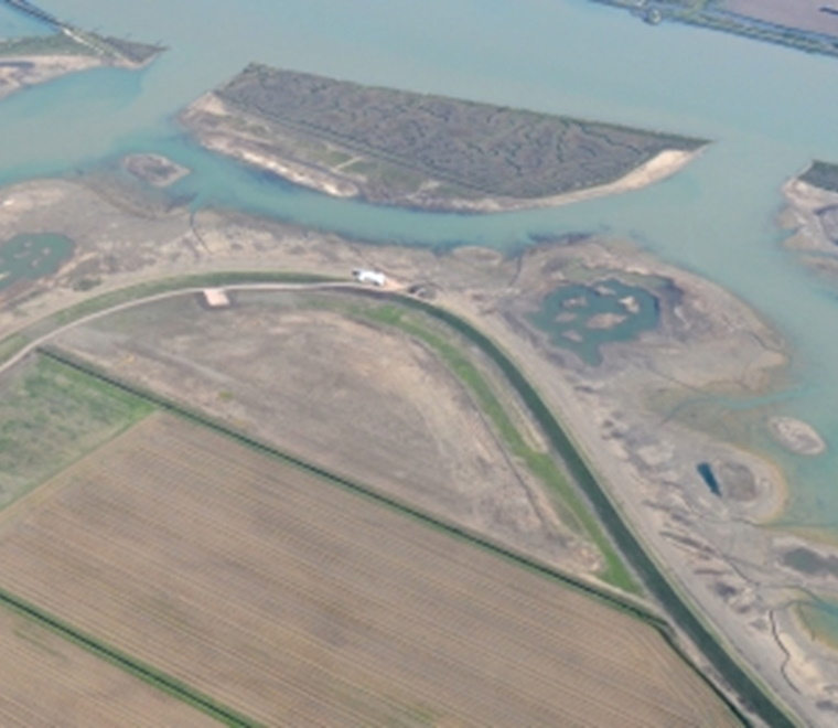 Jubilee Marsh 