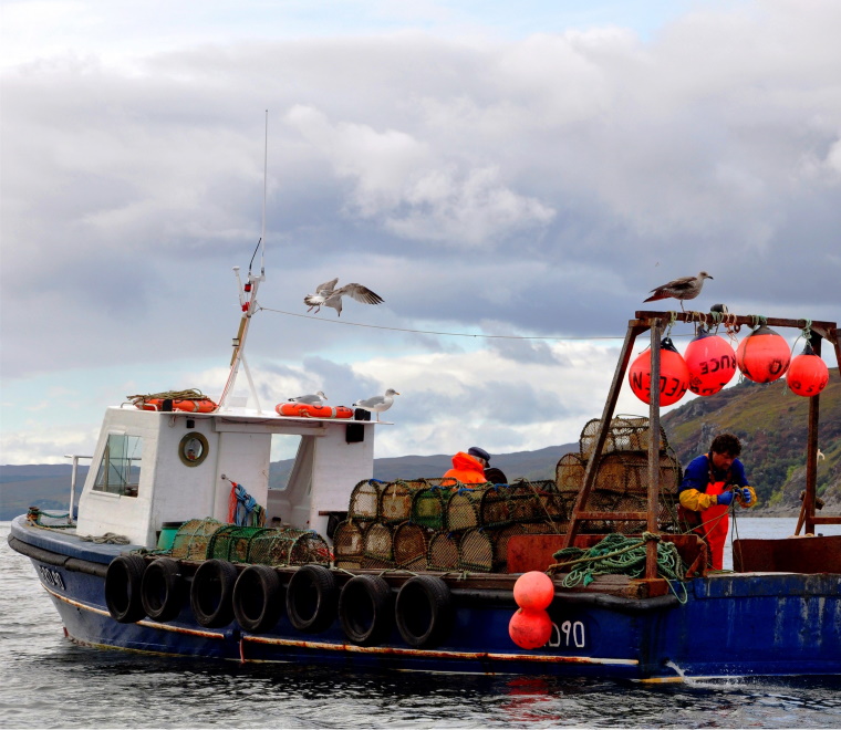 Fishing vessel 