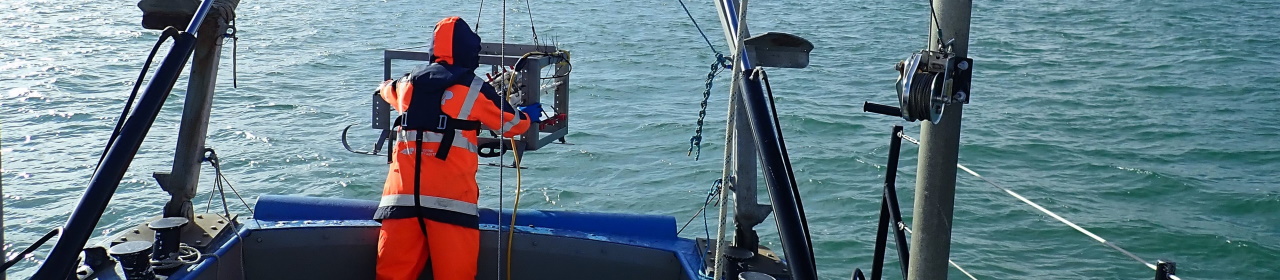 Bembridge survey