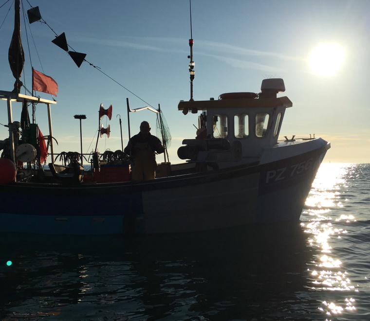 Fishing in Torbay