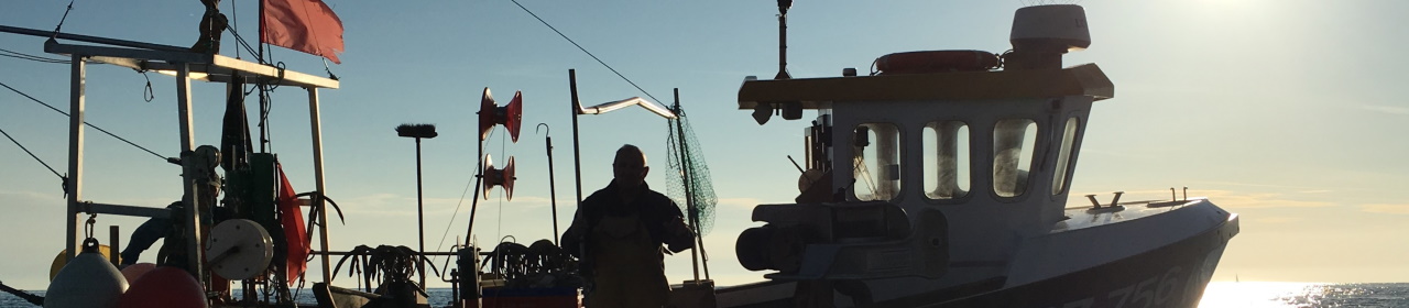 Fishing in Torbay