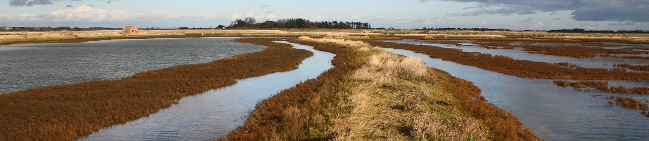 Medmerry coast