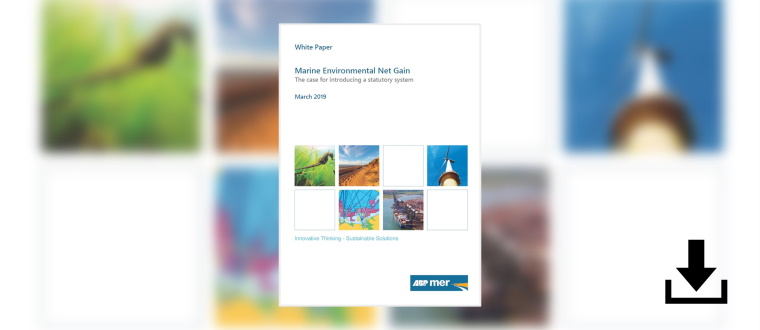 Download White Paper Marine Environmental Net Gain