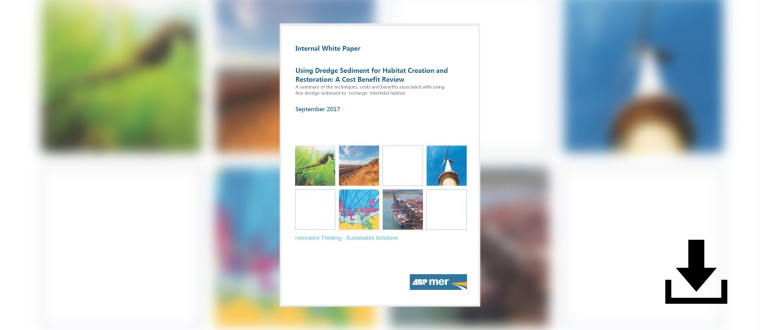 Download White Paper Using dredge sediment for habitat creation