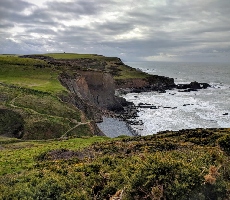Coastal footpath near Hartland, Devon