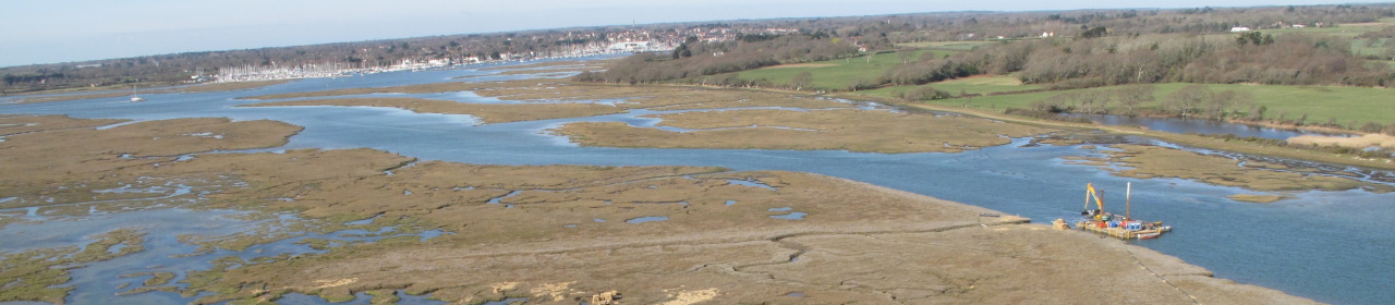Alfleets Marsh