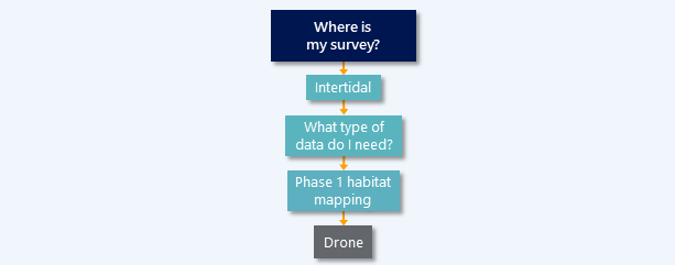Drone survey diagram