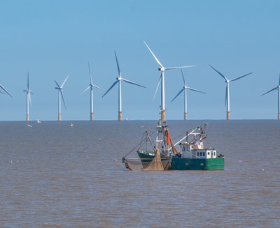 Offshore wind turbines and fishing vessel
