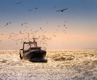 Trawler in the Mediterranean